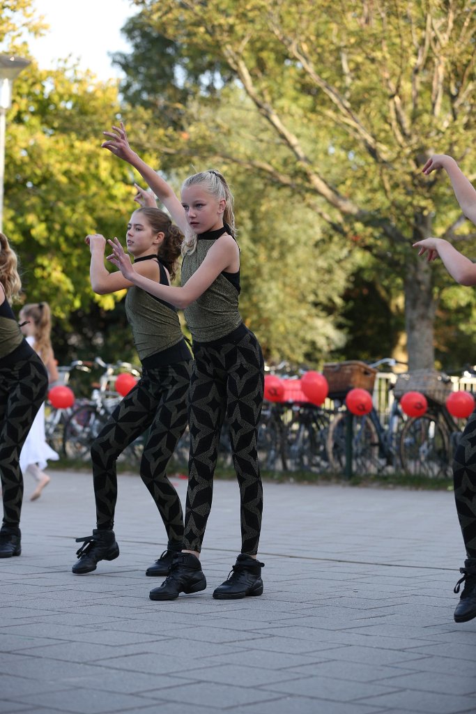 Schoolplein Festival B 455.jpg